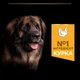 Сухой корм Purina Pro Plan Veterinary Diets Large Robust Adult Everyday Nutrion Chicken Сухой корм с курицей для взрослых собак крупных и гигантских пород 14 кг (7613035120426) - изображение 6