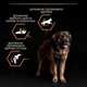 Сухой корм Purina Pro Plan Veterinary Diets Large Robust Adult Everyday Nutrion Chicken Сухой корм с курицей для взрослых собак крупных и гигантских пород 14 кг (7613035120426) - изображение 7
