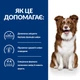 Лікувальний корм Hill's PD Derm Defense Skin Care Chicken 12 кг (606277) - зображення 7