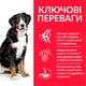 Сухий корм Hill's SP Canine Adult Large Breed Lamb & Rice 14 кг (607638) - зображення 3