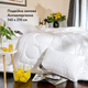 Двойное зимнее одеяло IDEIA Air Dream Exclusive 140Х210 см (8-11763) - изображение 1