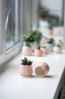 Керамічний горщик для кактусів Mini Plant 6,3х6,4см Арт Сердечка Рожевий - зображення 3