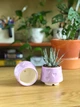 Керамический горшок для суккулентов Mini Plant 6,3х6,4см Арт Сердечки Сиреневый - изображение 3