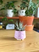 Керамический горшок для суккулентов Mini Plant 6,3х6,4см Арт Сердечки Сиреневый - изображение 5