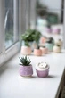 Керамический горшок для суккулентов Mini Plant 6,3х6,4см Арт Сердечки Сиреневый - изображение 7