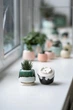 Керамический горшок для суккулентов Mini Plant маленького размера 6,3х6,4см Трапеция Арт Белый Изуруд - изображение 3