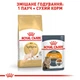 Сухой корм Royal Canin Sphynx Adult 2 кг (2556020) - изображение 5