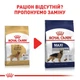 Сухой корм Royal Canin Golden Retriever Adult 12 кг (3970120) - изображение 4