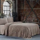 Літній Євро комплект – Tivolyo Home Baroc Brown + Махрове покривало - изображение 1