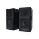 Акустическая система REAL-EL S-250 Black - изображение 1