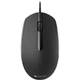 Миша Canyon M-10 USB Black (CNE-CMS10B) - зображення 1