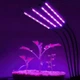 Гибкая светодиодная фитолампа ультрафиолетовая Grow Light фито лампа для выращивания растений микрозелень полный спектр фито лампа светильник для комнатных цветов рассады орхидей на 4 лампы USB - изображение 12
