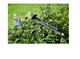 Кущоріз висотний Ryobi (5133005382) - зображення 2