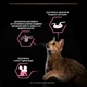 Консервований корм Purina Pro Plan Veterinary Diets Delicate Digestion Набір вологого корму для дорослих котів із чутливим травленням 10 шт х 85 г (8445290855817) - зображення 7