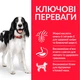 Сухий корм Hill's SP Canine Adult Medium Breed Lamb & Rice 800 г (604333) - зображення 3