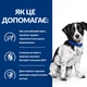 Лікувальний корм Hill's PD Canine I/D Stress Mini Дієтичний сухий корм з куркою для чутливого травлення у дорослих собак малих та мініатюрних порід 1 кг (606379) - зображення 7