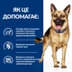 Консервований корм Hill's PD Canine Gastrointestinal Biome Вологий корм для собак при захворюваннях шлунково-кишкового тракту 370 г (607719) - зображення 3