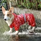 Дощовик для собак водовідштовхувальний Red Size M - зображення 3