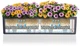 Вазон Lechuza Balconera Color 80 Серый (15683 / 4008789156839) - изображение 4