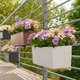 Вазон Lechuza Balconera Color 80 Серый (15683 / 4008789156839) - изображение 5