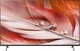 Телевізор 65 дюймів Sony XR-65X90J (4K Android TV FALD 120Hz — 7310310953) Б/В - зображення 9