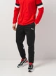 Спортивный костюм мужской Puma teamRise Trg 65865301 XS Red-Black (4099685976041) - изображение 6