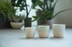 Чашка для капучино Loveramics Dale Harris 200мл Beige (C109-01BCR) - зображення 5