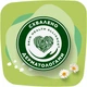 Гігієнічні прокладки Naturella Ultra Normal 10 шт (4015400125037) - зображення 9