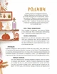 Наші звичаї і традиції - Марія Морозенко (9786177754717) - зображення 5