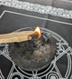 Пало Санто - изображение 2