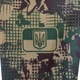 Худі Гвардія наступу Хижак | KRAMATAN Tactical Design| XXXL - зображення 14