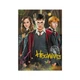 Пазл классический "Harry Potter. Гарри и друзья" 200498, 250 элементов DoDo Toys 200498 - изображение 4