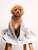 Шампунь для домашніх улюбленців Sister's Aroma Smart Pet Shampoo 250 мл (4820227781720) - зображення 4