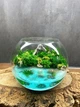 Флорариум Природа 10 см (3745) - изображение 2