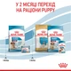 Сухой корм Royal Canin Medium Starter Mother & Babydog 1 кг (2993010) - изображение 6