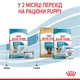 Сухой корм Royal Canin Mini Starter Mother & Babydog 1 кг (2990010) - изображение 6