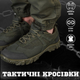 Тактические кроссовки Energy olive 44 - изображение 4