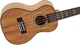 Укулеле концерт Flight DUC450 Mango Concert Ukulele - изображение 3