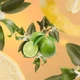 Картридж для ароматизатора для автомобиля Maison Berger Paris Lemon Flower (6432) - изображение 2