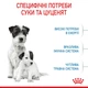 Сухой корм Royal Canin Mini Starter Mother & Babydog 8 кг (2990080) - изображение 3