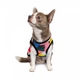 Одежда Pet Fashion Борцовка «Cool» для собак, с принтом XS2 (1111162860) - изображение 2