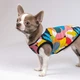 Одежда Pet Fashion Борцовка «Cool» для собак, с принтом XS (1111162861) - изображение 4
