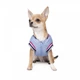 Одежда Pet Fashion Бомбер "Spike" для собак, голубой L (1111171983) - изображение 2