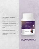 Седаформула таблетки 60 шт по 500мг / Sedaformula(заспокійливий, для нервової системи) - зображення 3