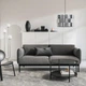 2-місний диван IKEA ÄPPLARYD, ЛЕЙДЕ сірий/чорний, 205.062.25 - зображення 3