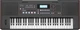 Синтезатор Roland E-X50 (RO-2881) - зображення 1