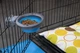 Миски и контейнеры Dexas Collapsible Kennel Bowl Миска складная с креплением на клетку 240 мл, голубая 1 шт (PW2704322194) - изображение 5