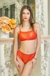 Бюстгальтер-топ жіночий з сіточки з мереживом Felisiya Lingerie Помаранчевий 2009-931с M - зображення 6