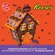 Пряничный Домик с шоколадным печеньем и арахисовым маслом Reese's Halloween Chocolate Cookie House 781г - изображение 1