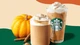 Кофе молотый Арабика с тыквенными специями Starbucks Arabica Beans Pumpkin Spice 481г - изображение 3
